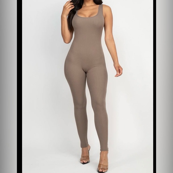 capella Pants - NWT Taupe Bodycon Jumpsuit (Box F)